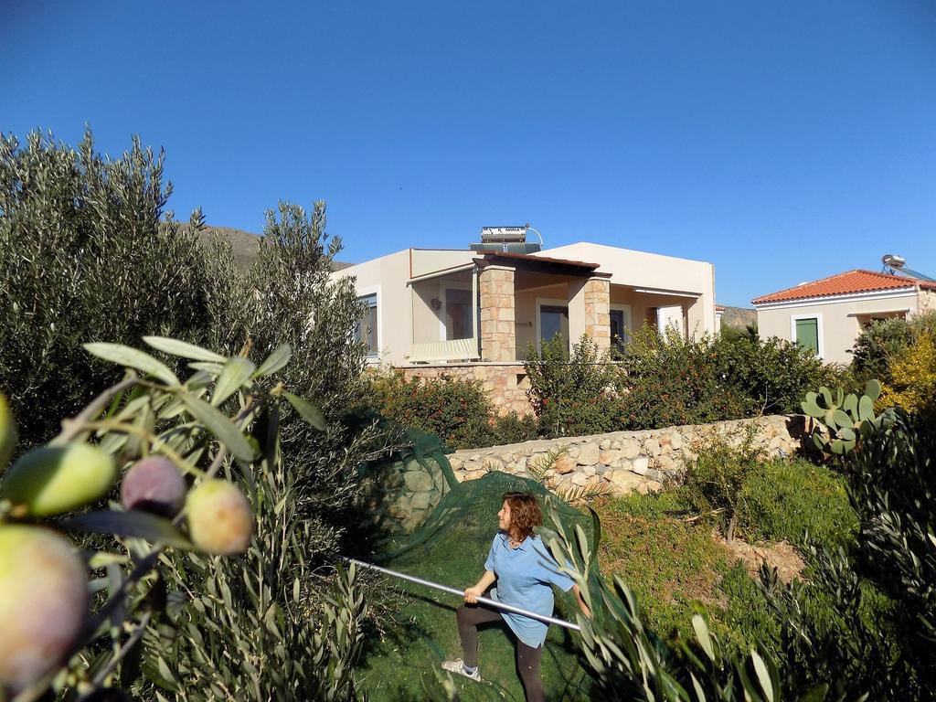 Alkionides Villas Xerokampos (Crete) Exterior foto